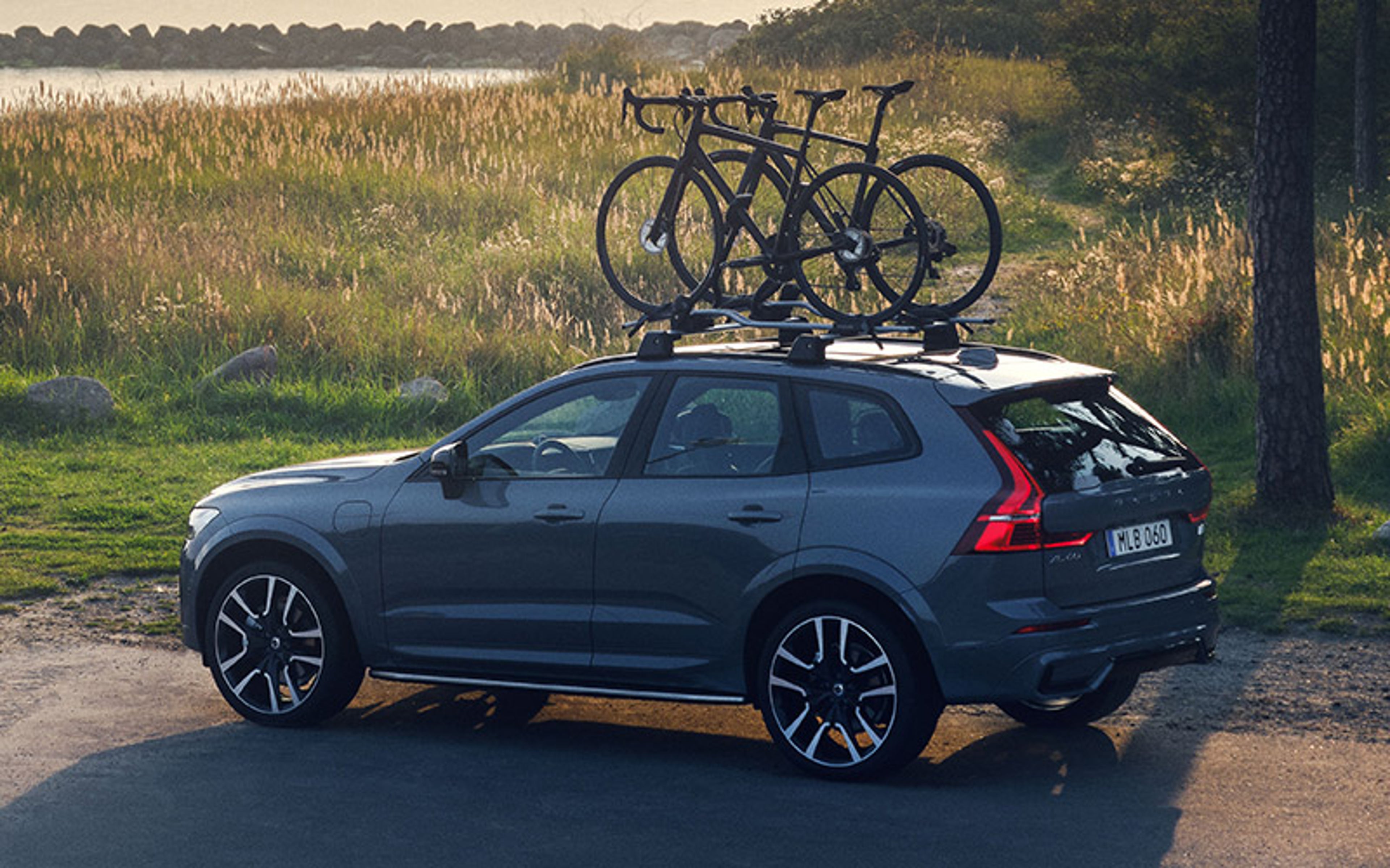 バイシクルホルダー〈正立式〉