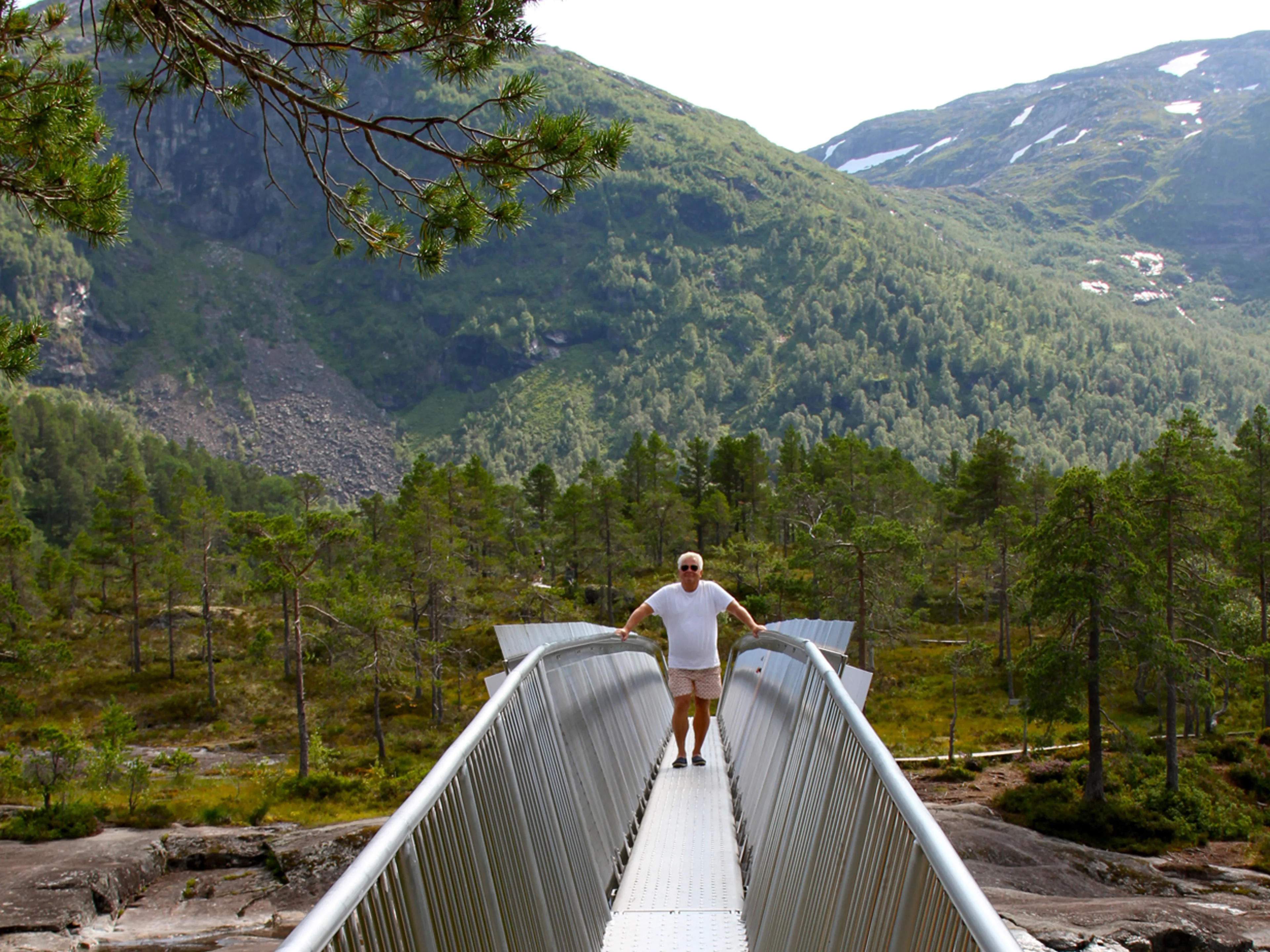 Stålbroen over