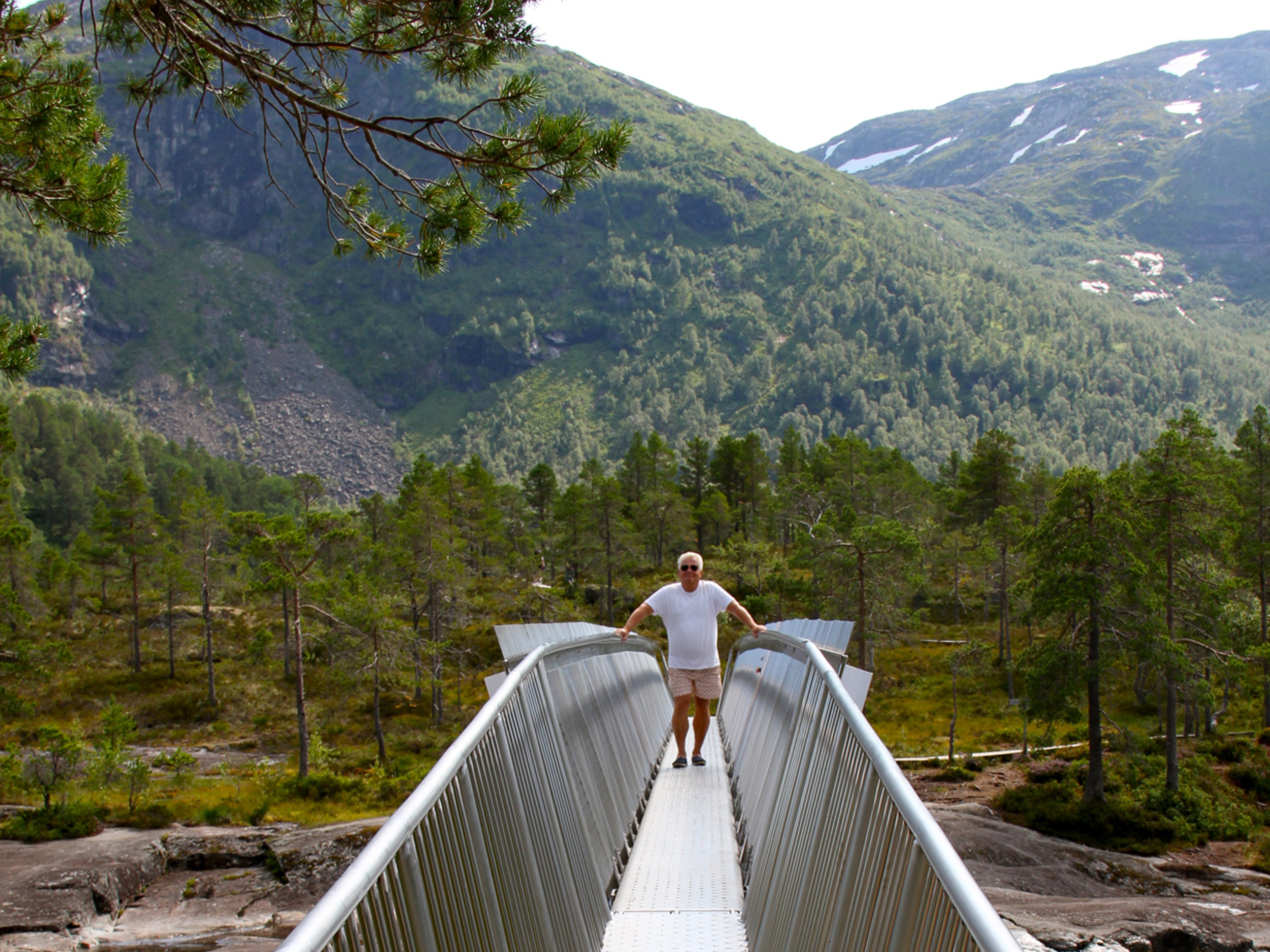 Stålbroen over