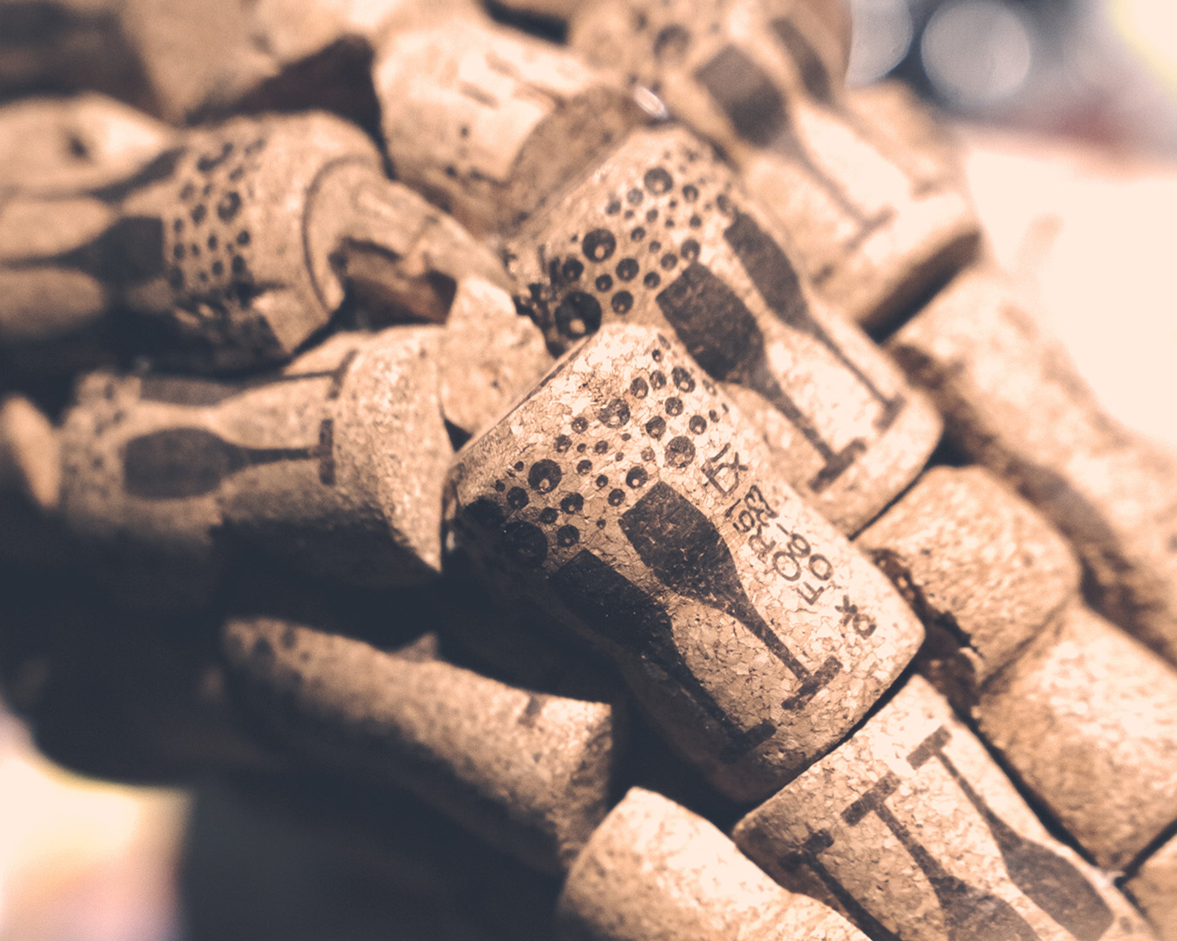 Skóra nowego gatunku