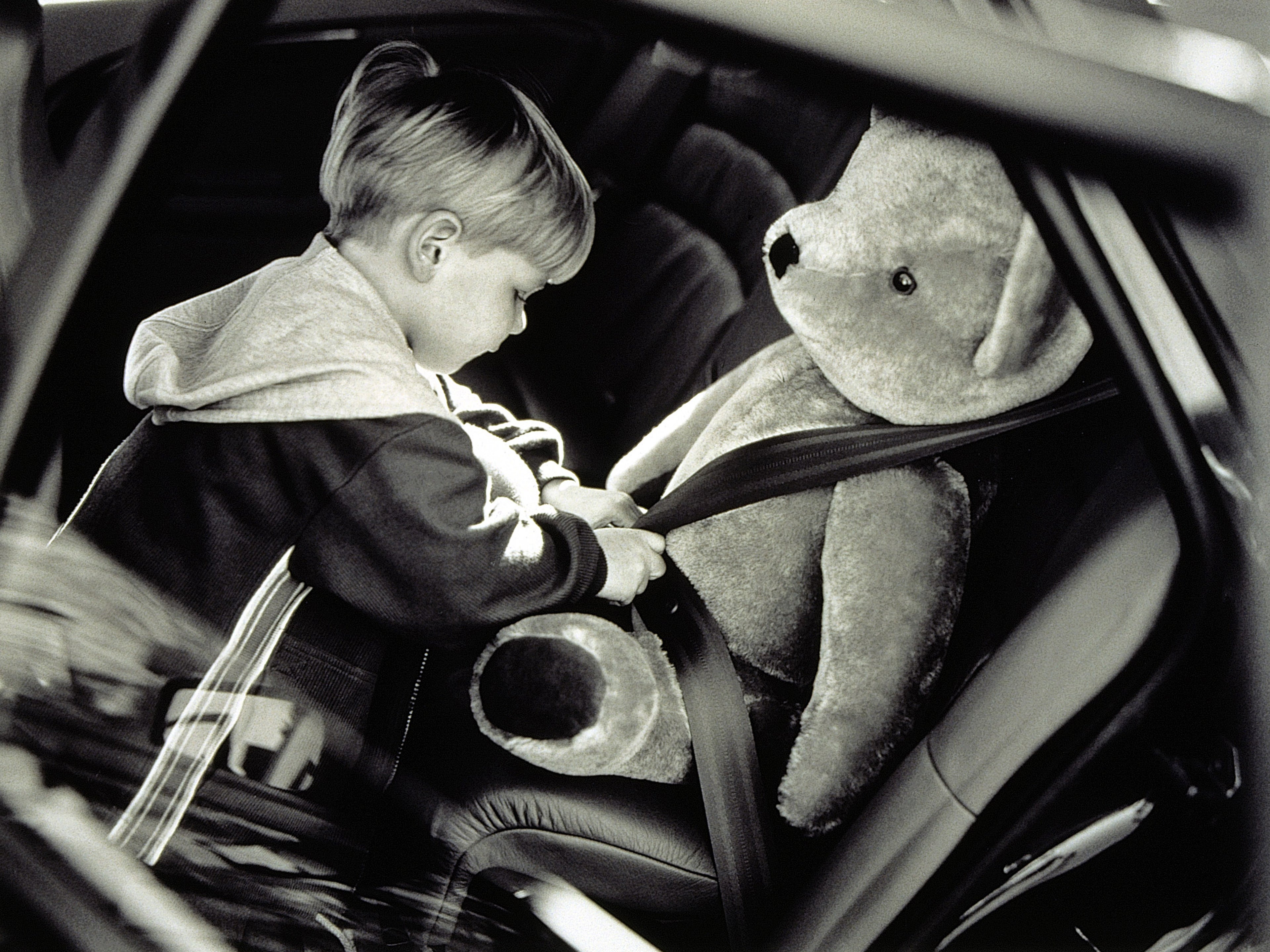 Pluszowy miś w foteliku dziecięcym Volvo przypinany przez dziecko pasami