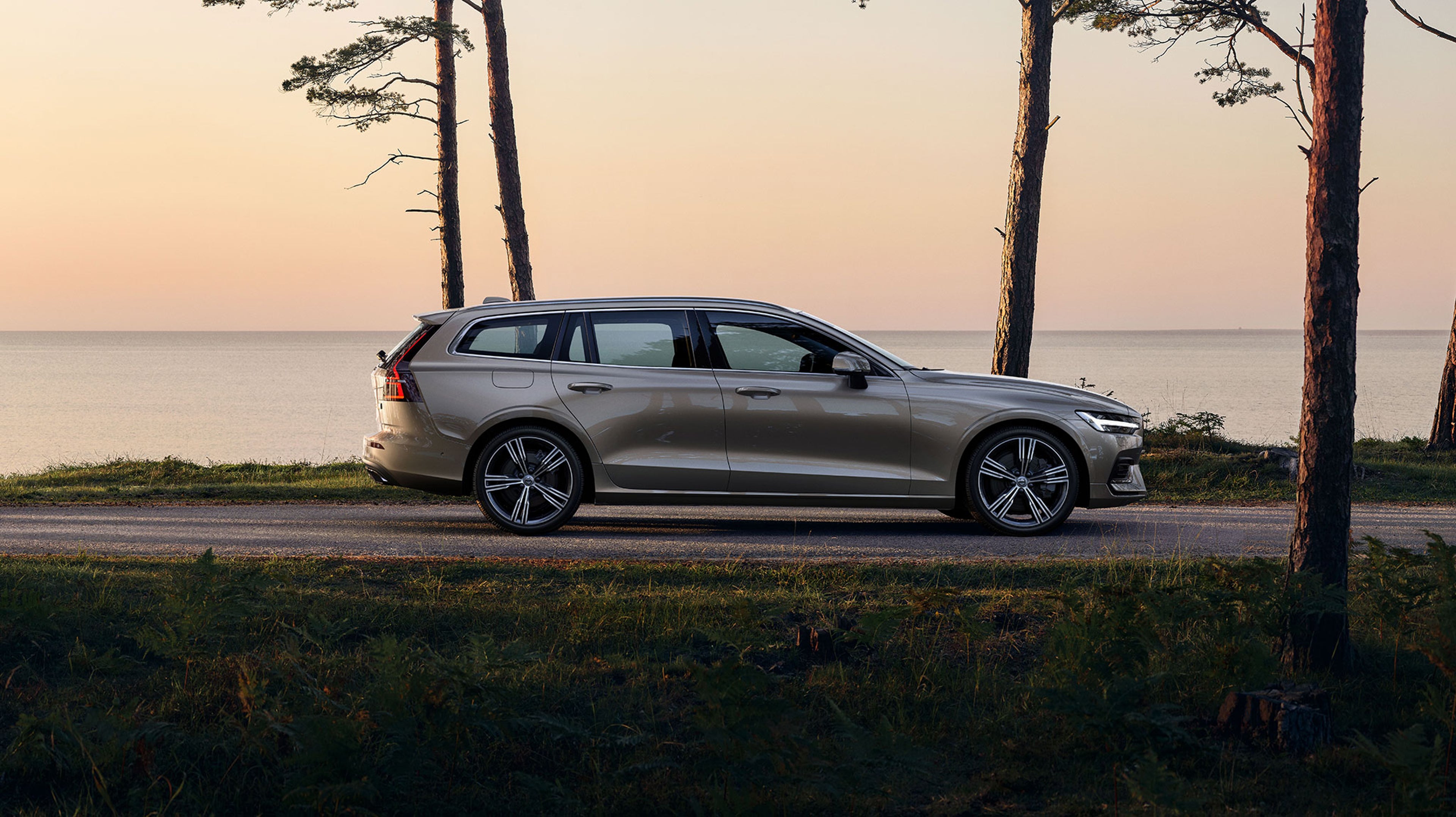 Volvo vu de profil sur route dans les bois