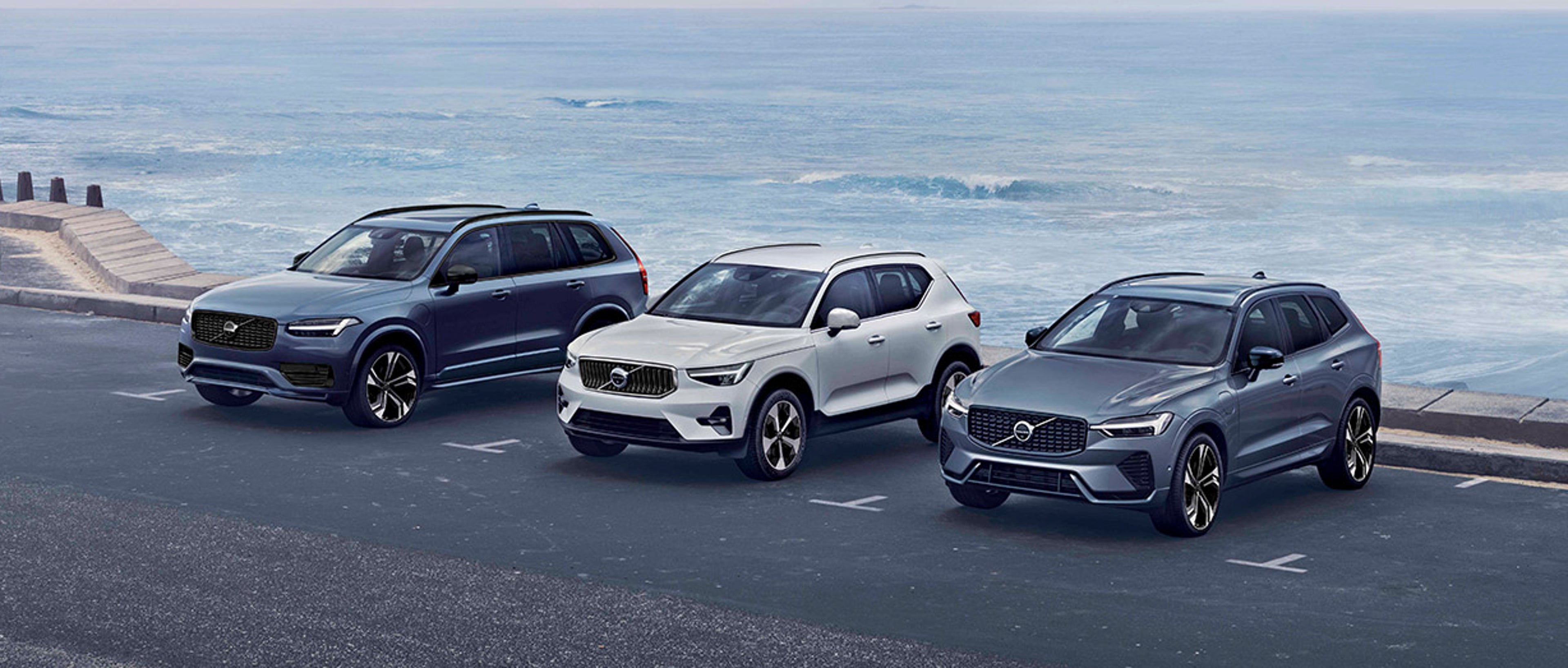 model-lineup