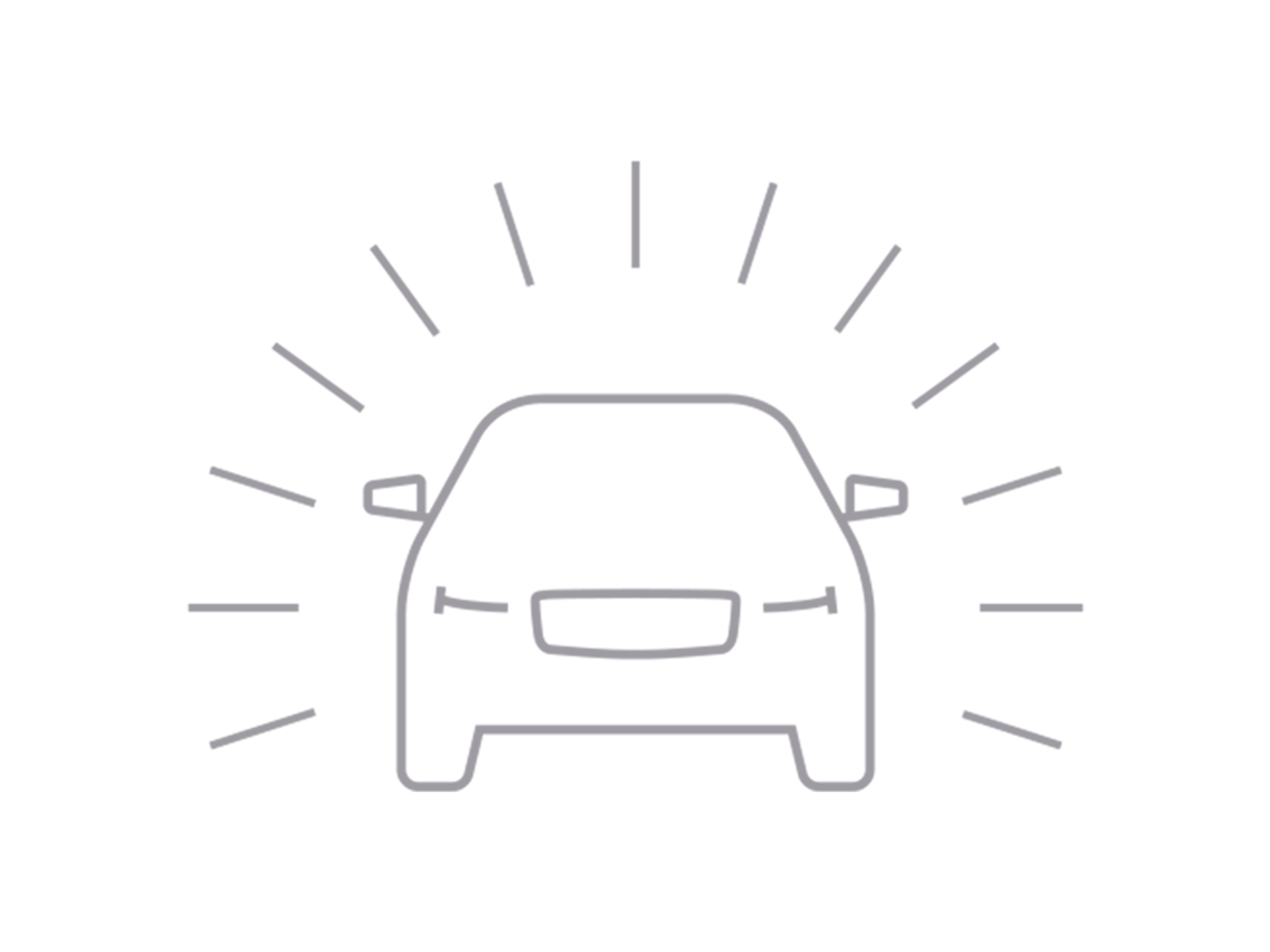 Icono | Volvo Professional Car Care