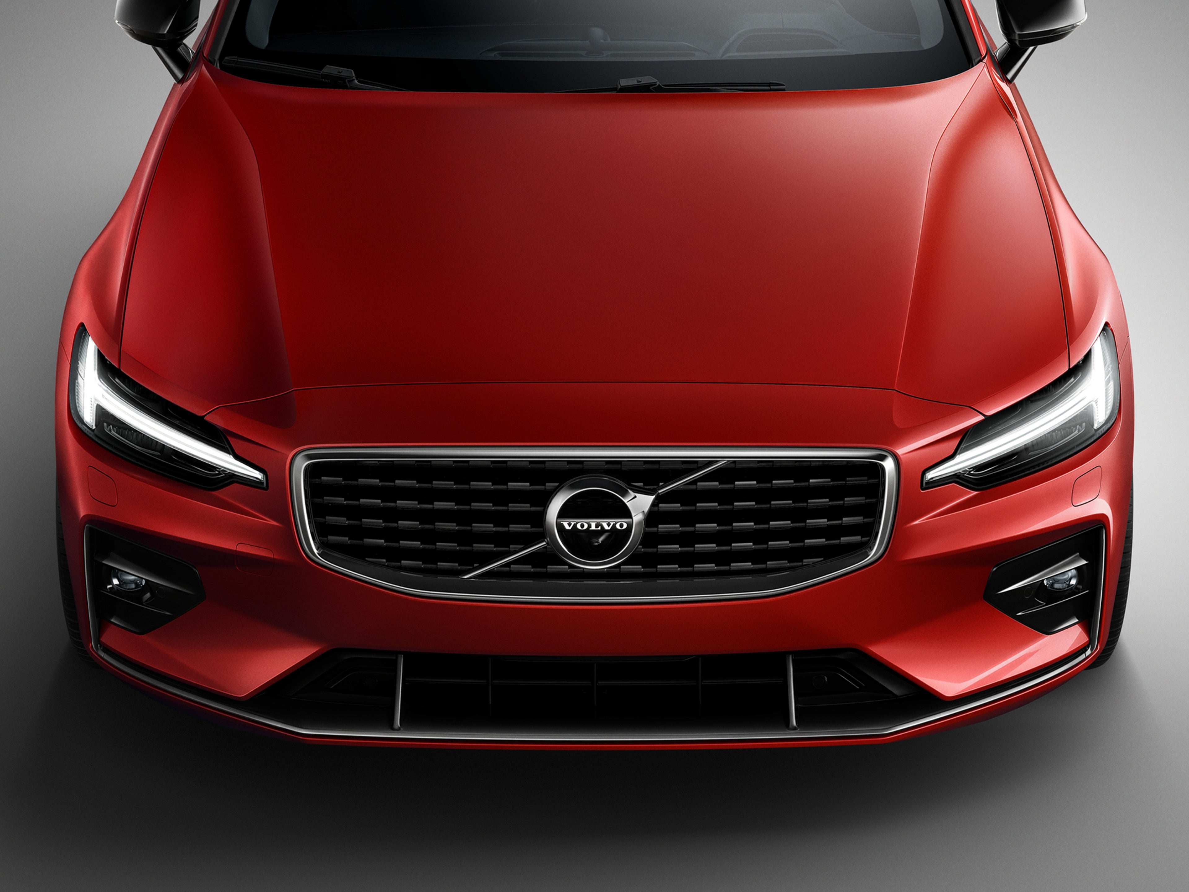 Deflector decorativo del parachoques delantero