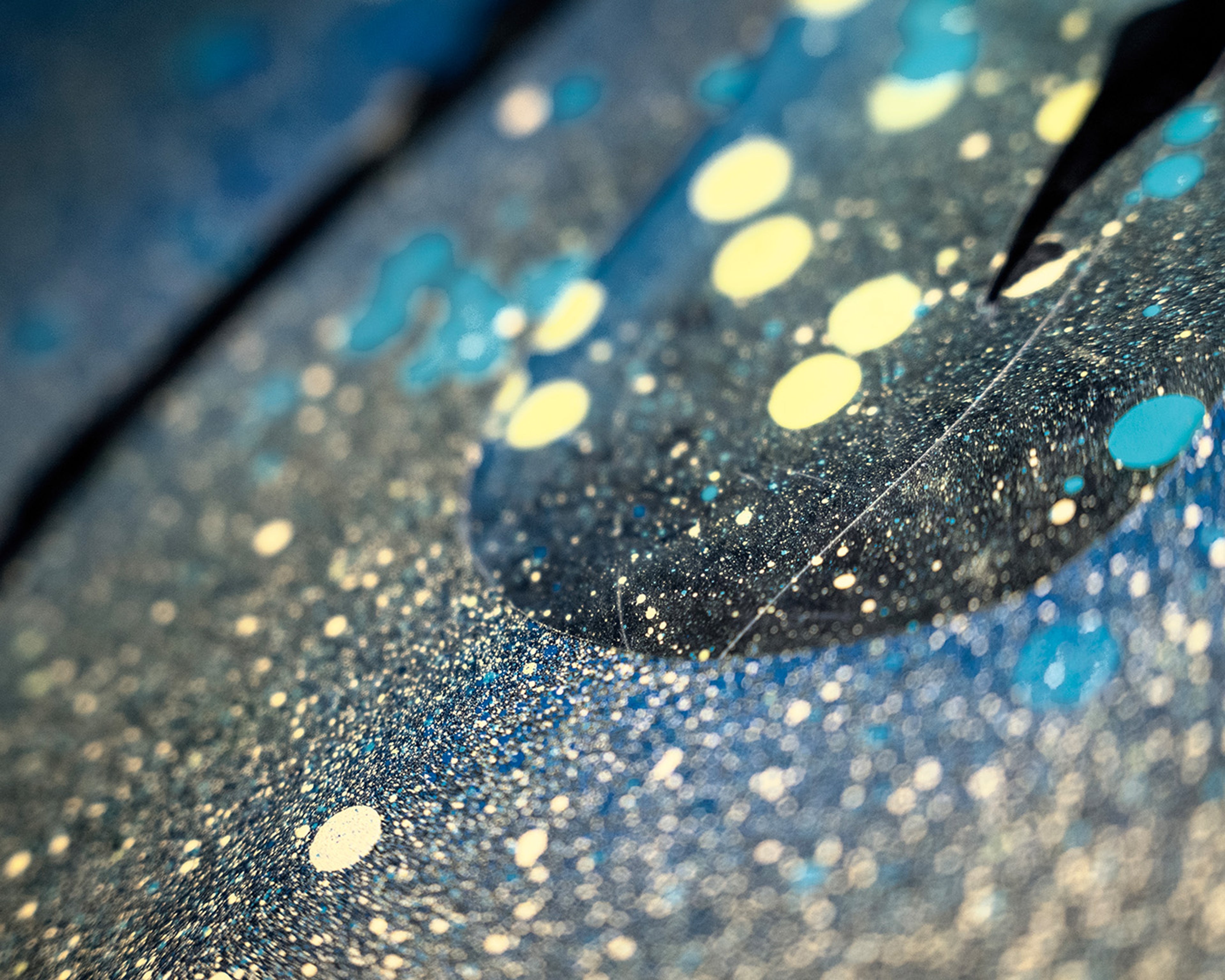 Skóra nowego gatunku Nordico