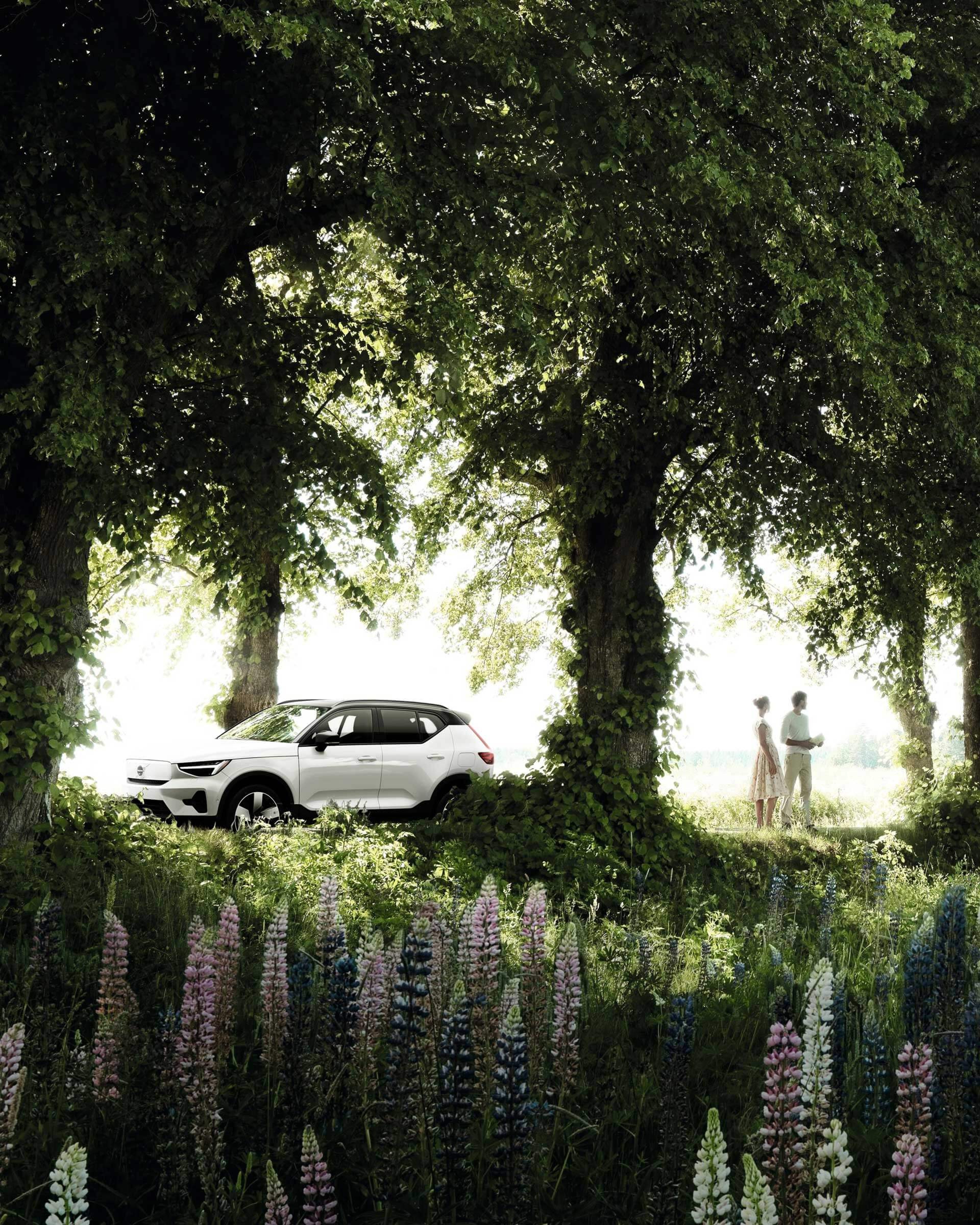 Volvo Midsummer Celebration
