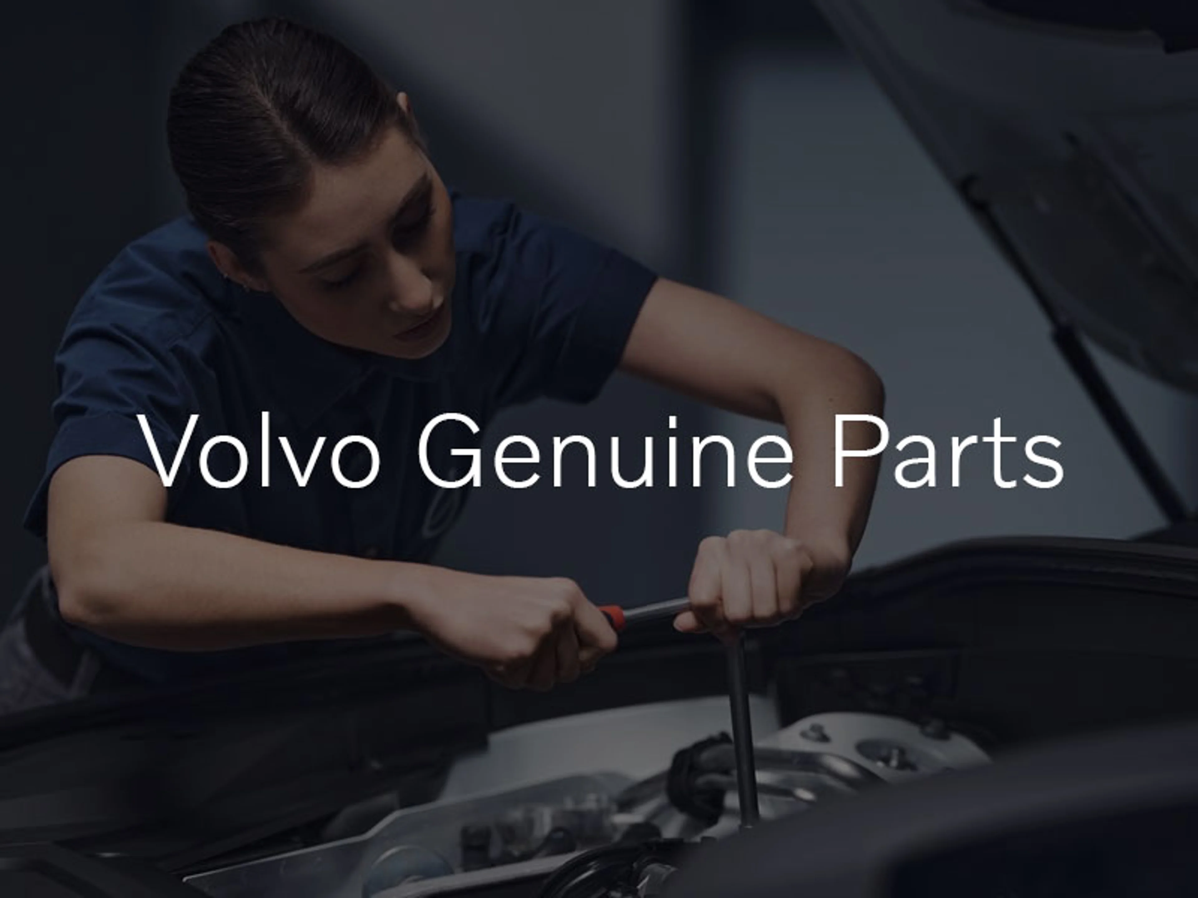 Volvo Genuine Parts