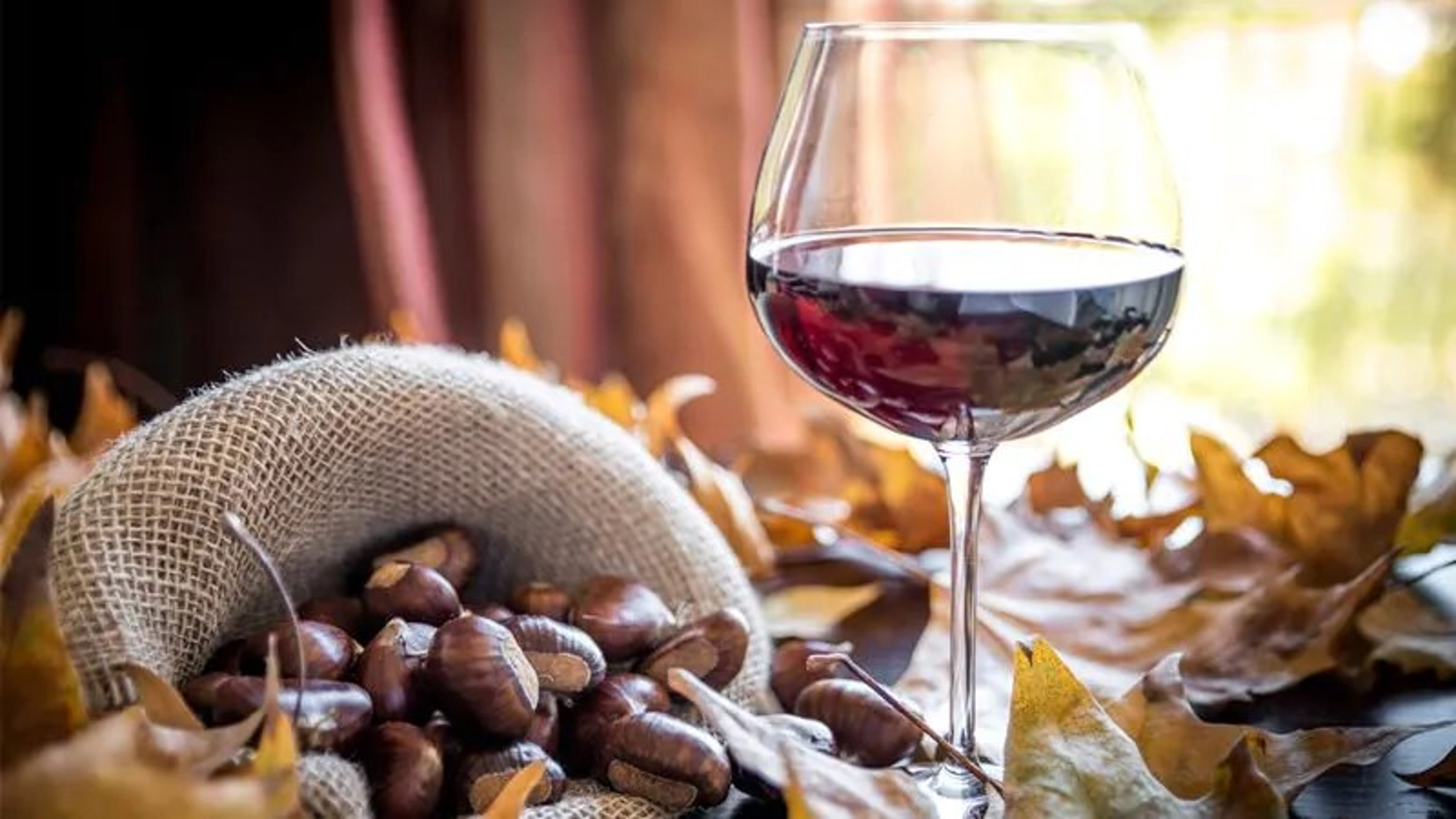 aperitivo d'autunno al VSM