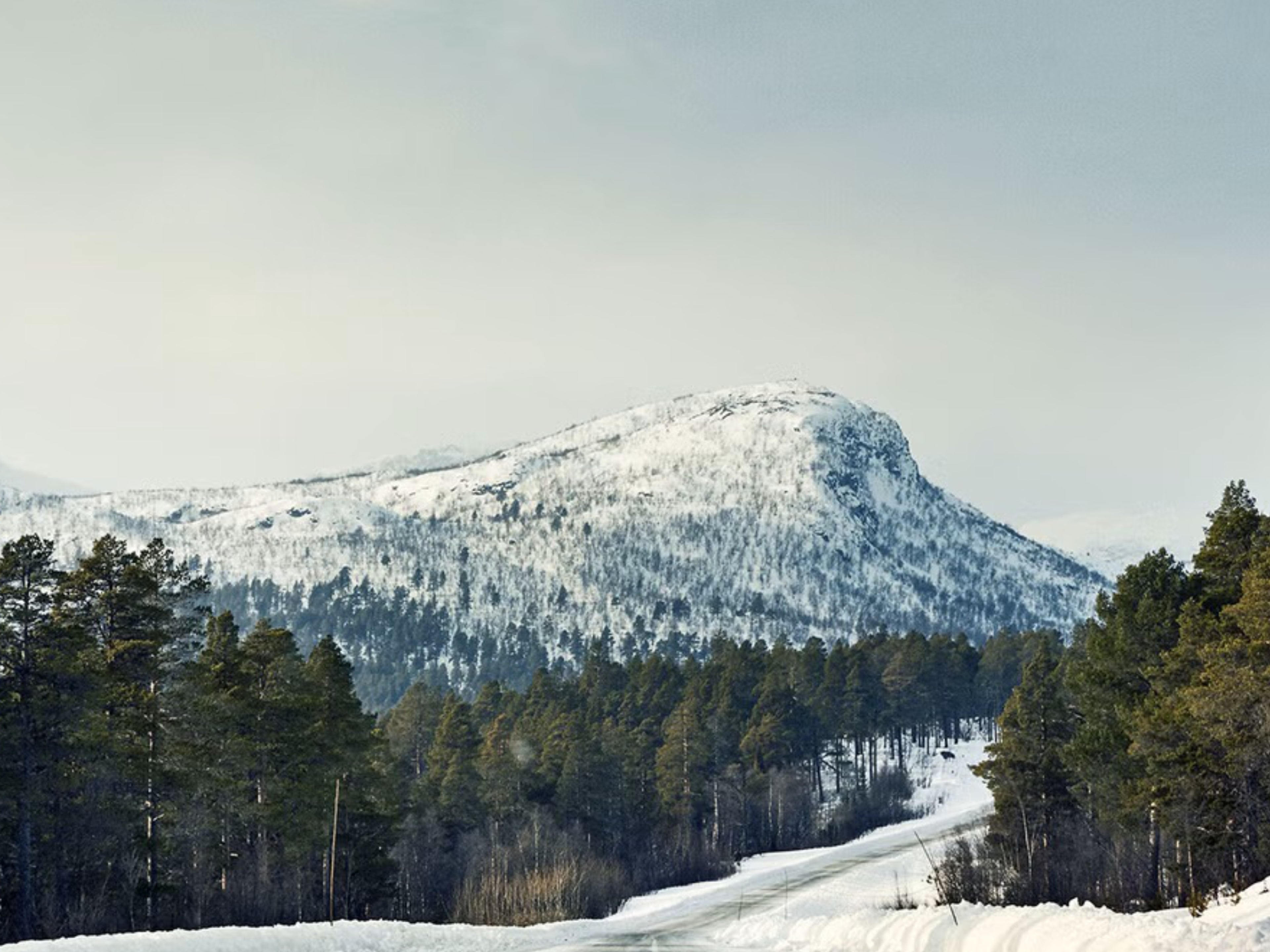 Schneelandschaft mit Bergen.