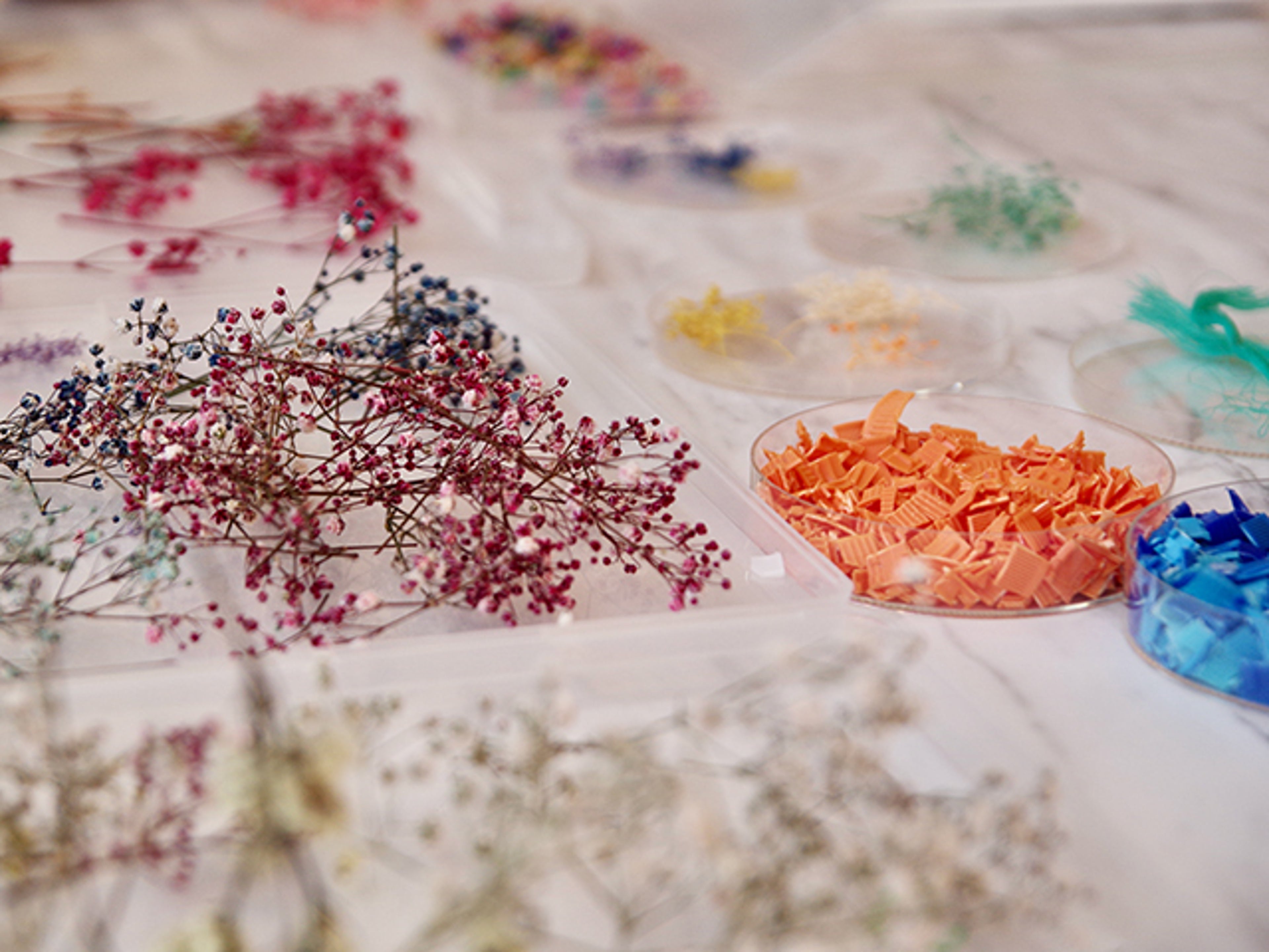 親子で一緒に環境について考える「廃材と花の工作ワークショップ」