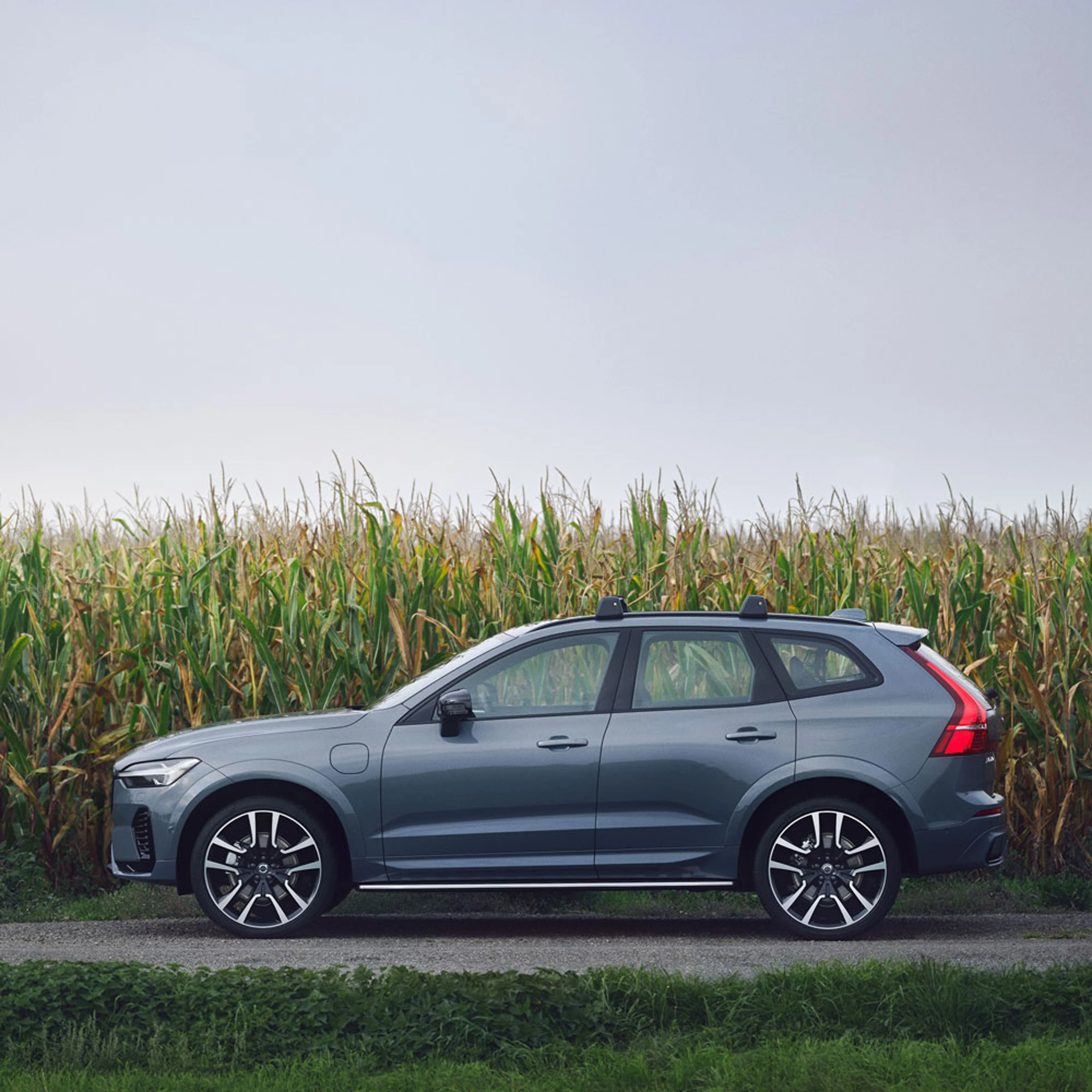 Een grijsblauwe Volvo XC60 is van opzij te zien, geparkeerd naast een maïsveld.