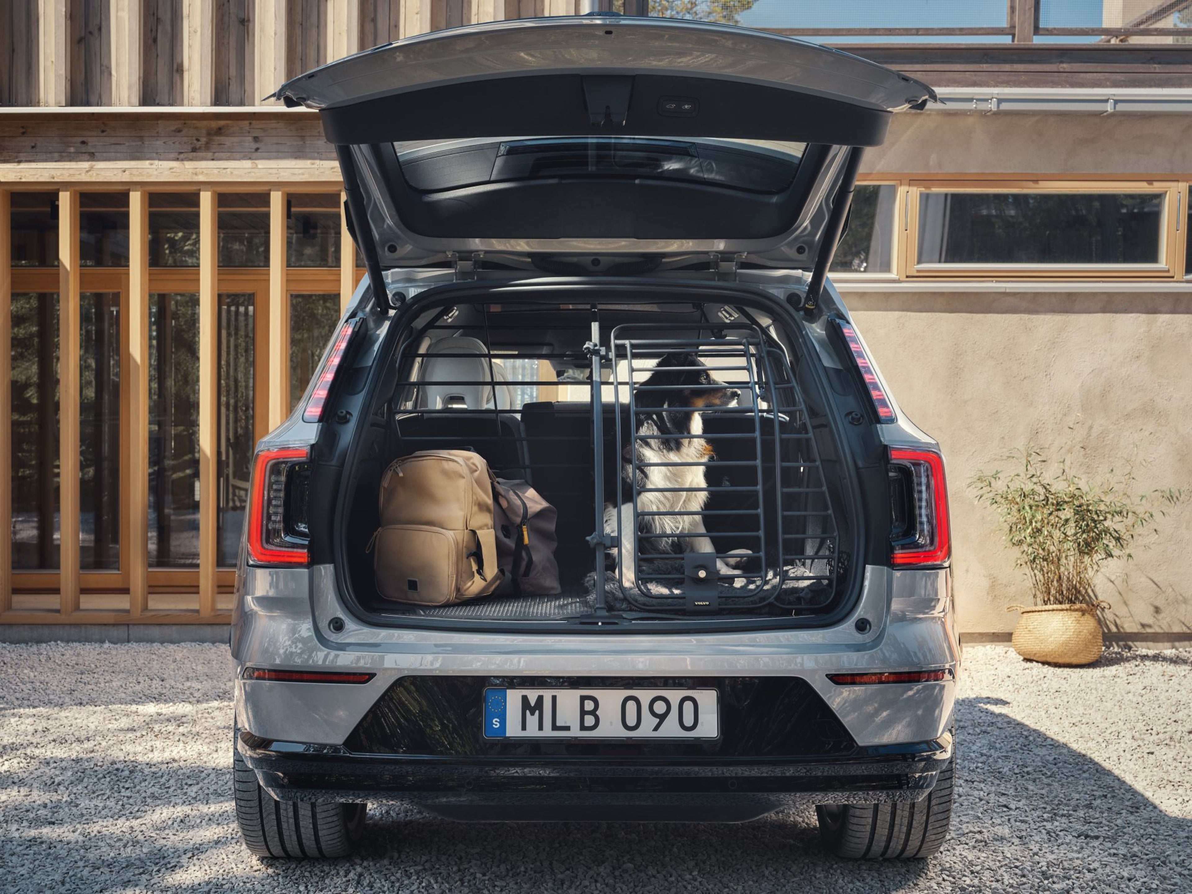 Volvo Accessories - Dog Accessories