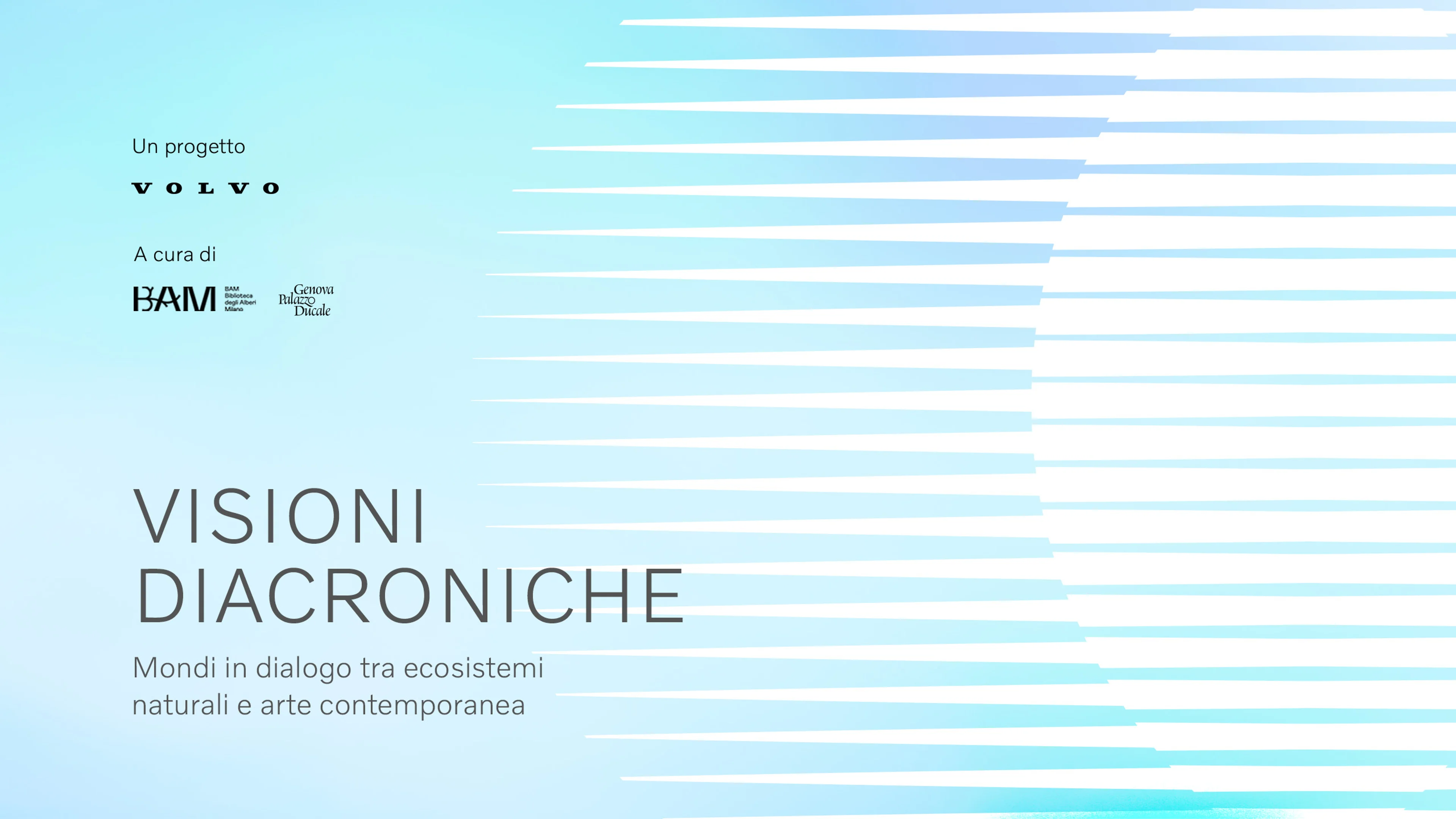 VSM | Visioni Diacroniche | Matteo Nasini