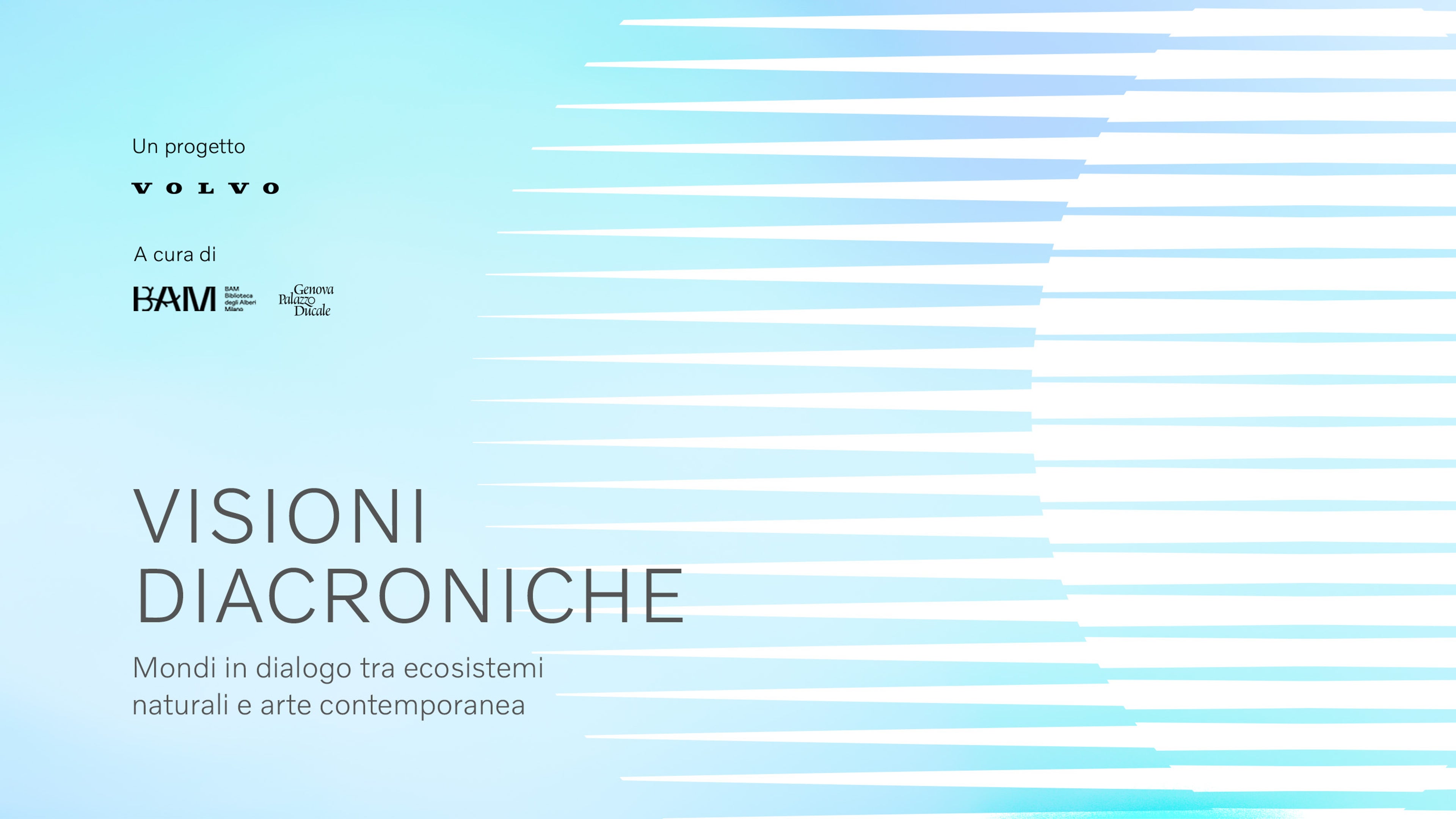 VSM | Visioni Diacroniche | Mario Airò