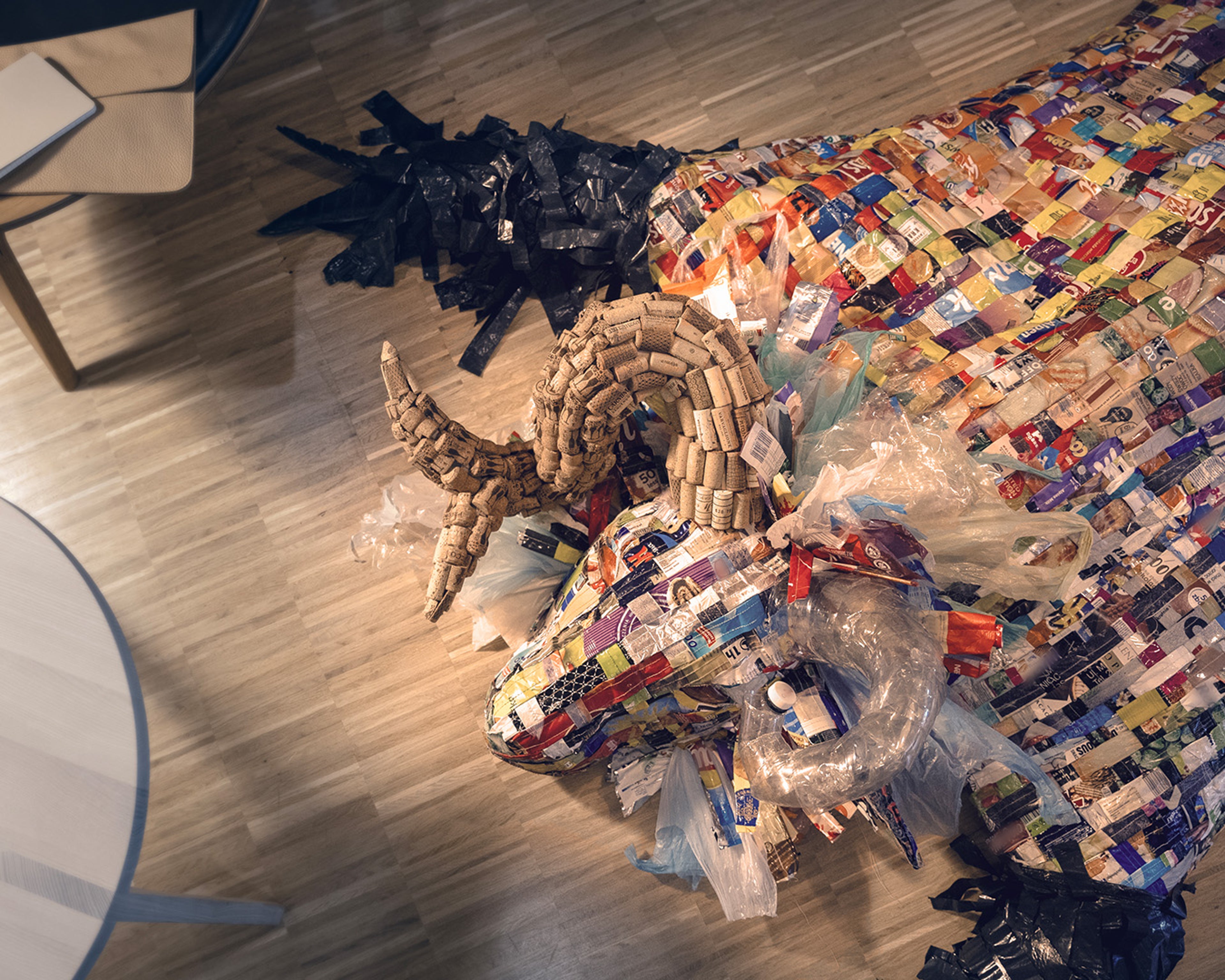 Skóra nowego gatunku Nordico