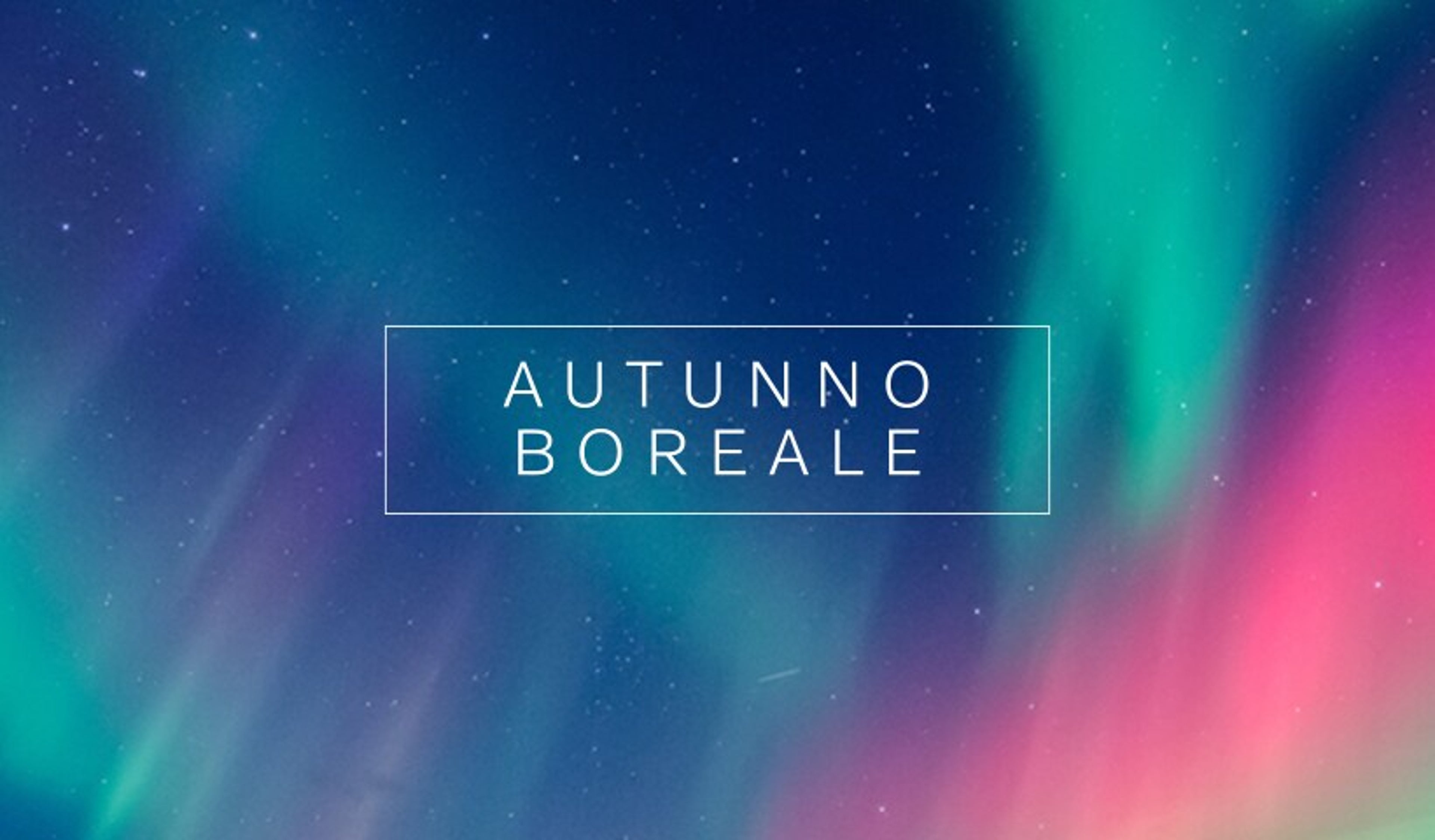 VSM | Autunno Boreale - BOBO STENSON
