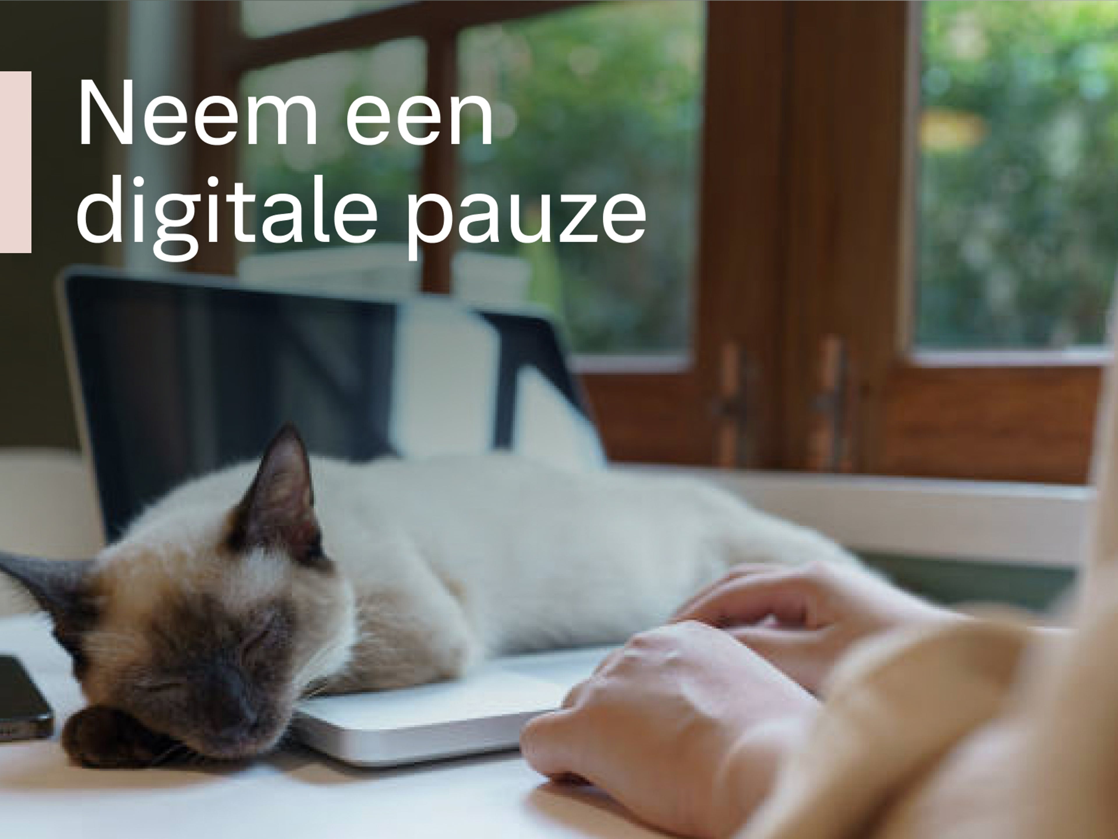Een kat slaapt op een laptop, met een witte tekst op de voorgrond: Neem een digitale pauze.