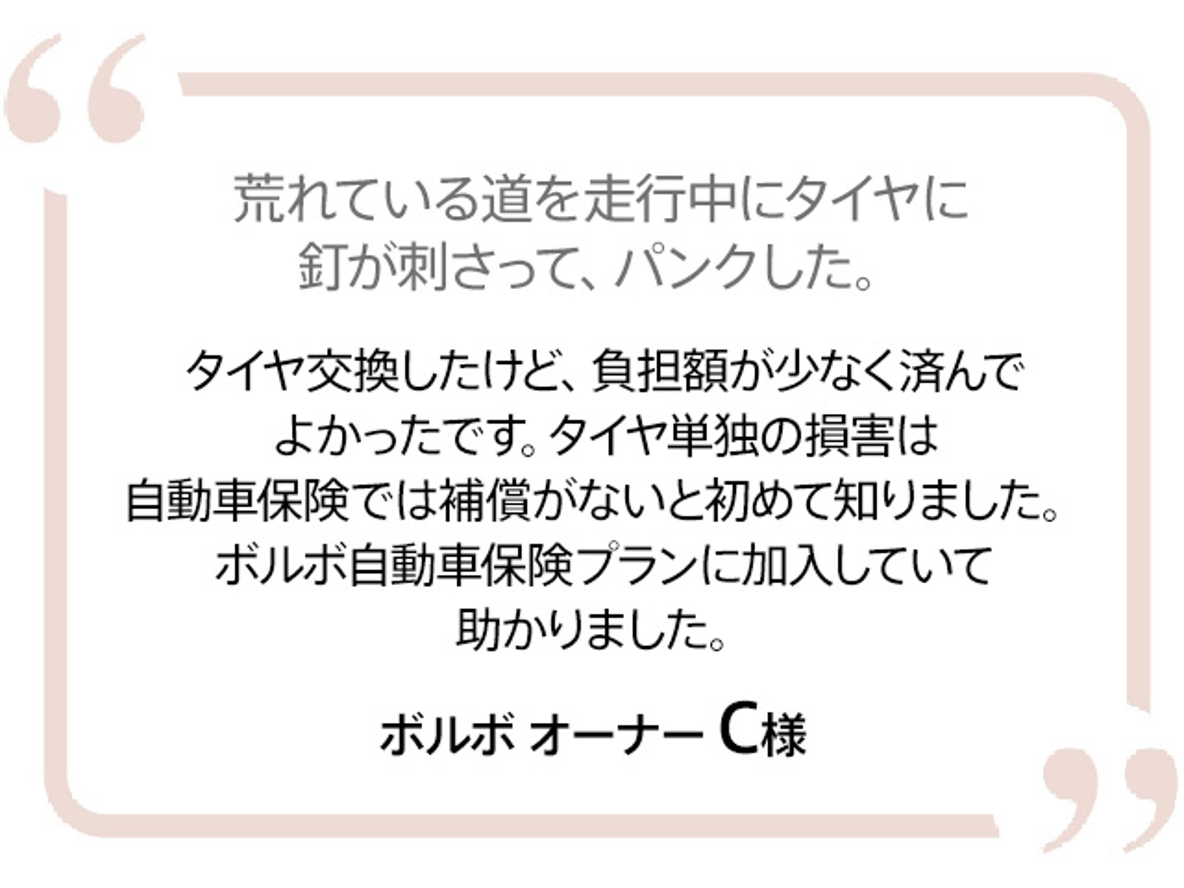 voice03