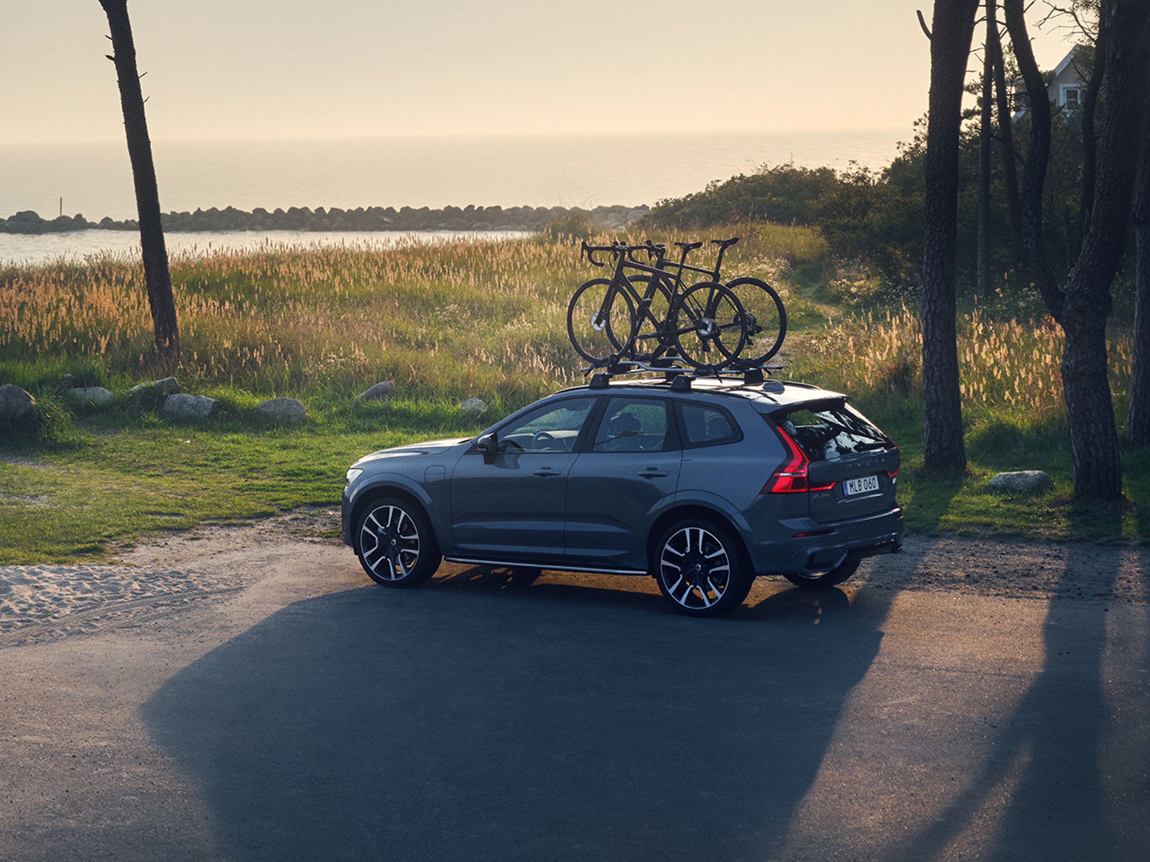 An XC60 plug-in hybrid SUV parked by the coast, equipped with two bicycles on its roof rack, surrounded by tall grass and trees at sunset.