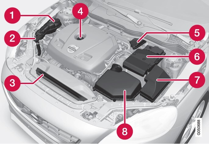 El diseño del compartimento del motor puede variar según la variante de motor.