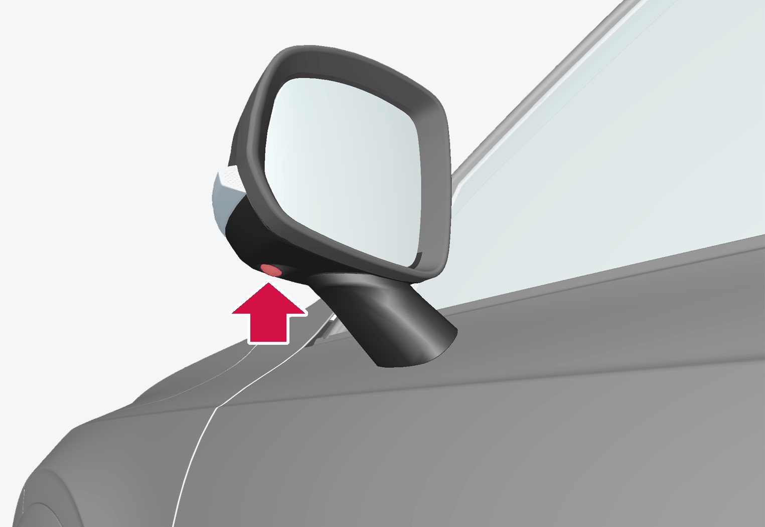 The side cameras are positioned in each door mirror.