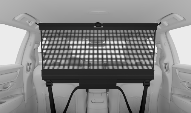 Mounted safety net.
