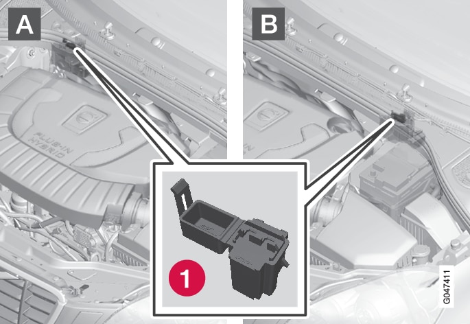 P3-1246-V60H Vacuum pump monitoring fuse
