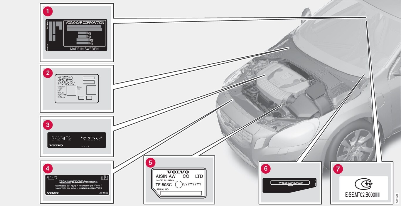 P3-1446-V60H-Type approval, labels vehicles for Russia