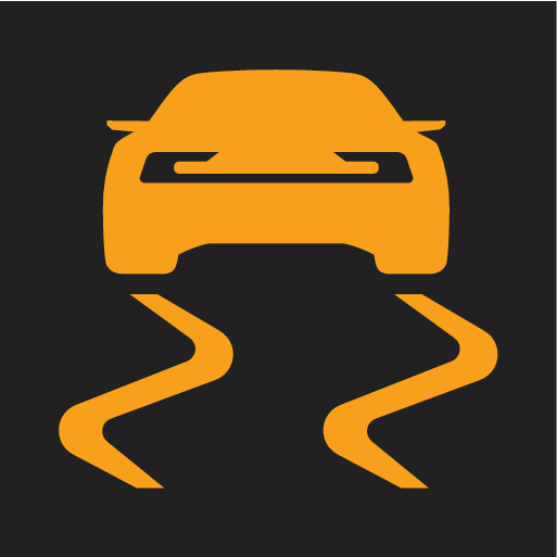 PS2-2007-Electronic Stability Control symbol