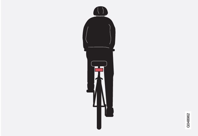 Ejemplo óptimo de lo que el sistema interpreta como un ciclista, con un perfil de cuerpo y bicicleta bien definido, visto por detrás y desde el centro del automóvil.
