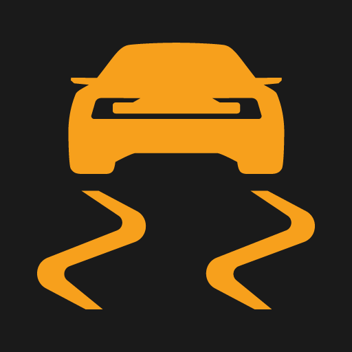 PS2-2007-Electronic Stability Control symbol