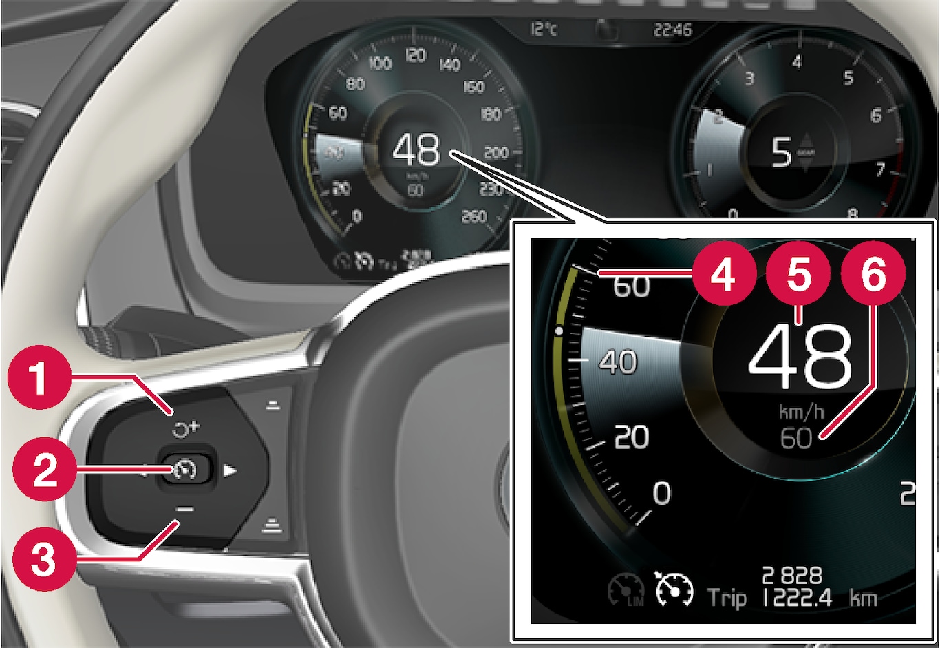 P5-1507-Cruise Control, overview driver display and buttons on steering wheel