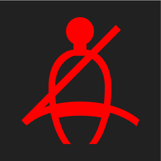 PS2-2007-Seatbelt warning symbol