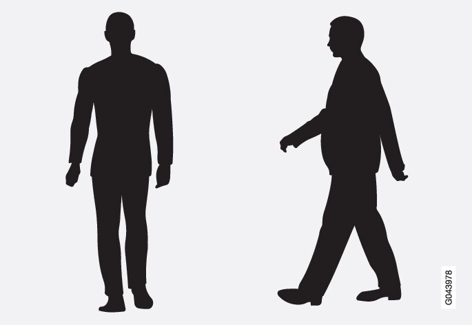 Ejemplos óptimos de lo que el sistema detecta peatones con un perfil corporal bien definido.