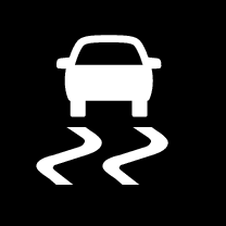 16w17 - Support site - Roll stability control symbol