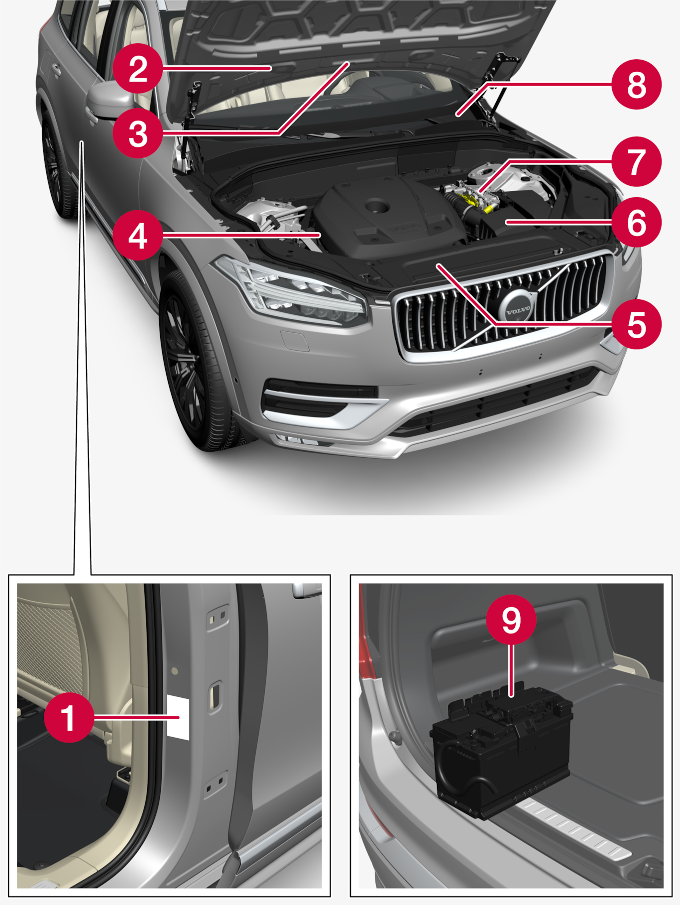 P5-2222-XC90-Type approval, labels, vehicles for Brasil