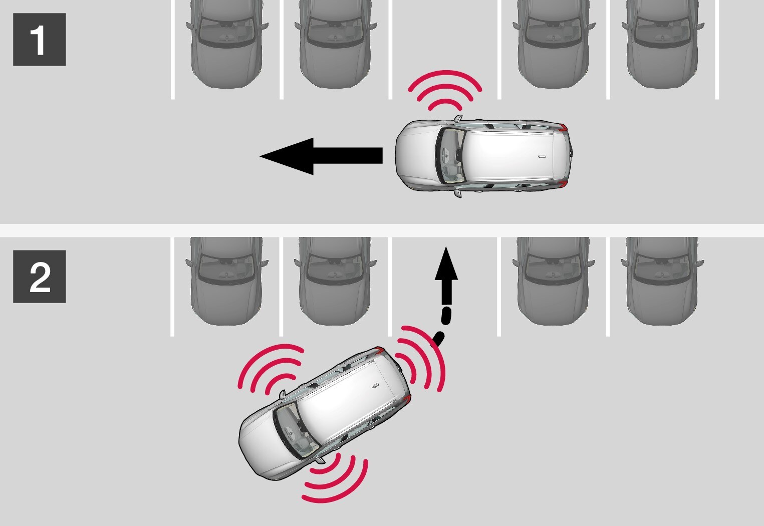 P5-1507-Perpendicular parking PAP