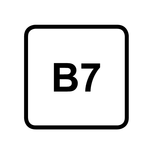 P5-1646-x90-Sticker B7 for diesel