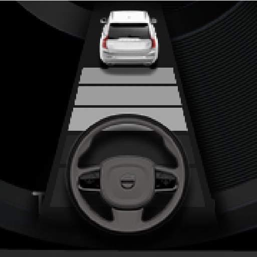 P5-1617-PilotAssist2 Symbol Steering Standby