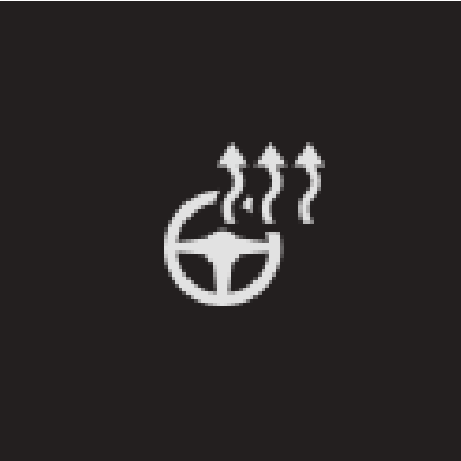 P5/P6-1846–Climate–Button steering wheel heat