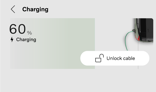 Charging view