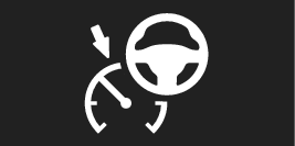 P5-1946-Pilot Assist symbol small