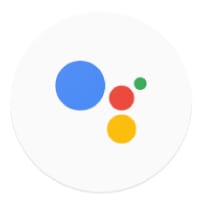 PS2-2007-GoogleAssistentSymbol