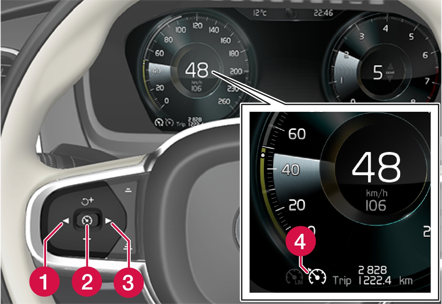 P5-1507-Cruise Control, overview driver display and buttons on steering wheel