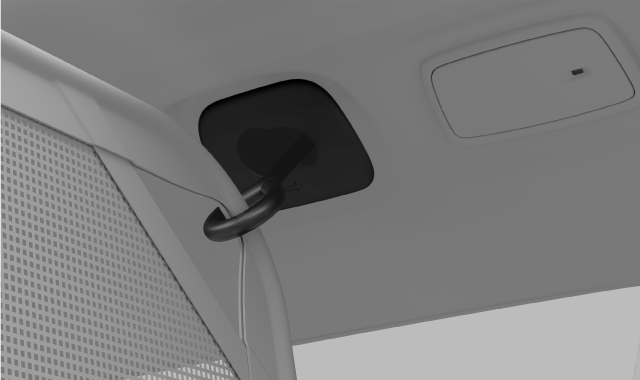 Safety net pin in a coat hook socket.