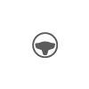 Symbol indicating Pilot Assist is inactive