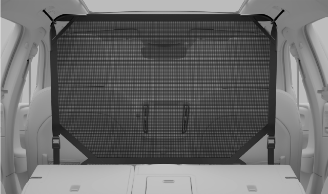 Mounted safety net.