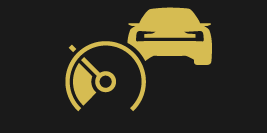 PS2-2007-Adaptive Cruise Control symbol in driver display