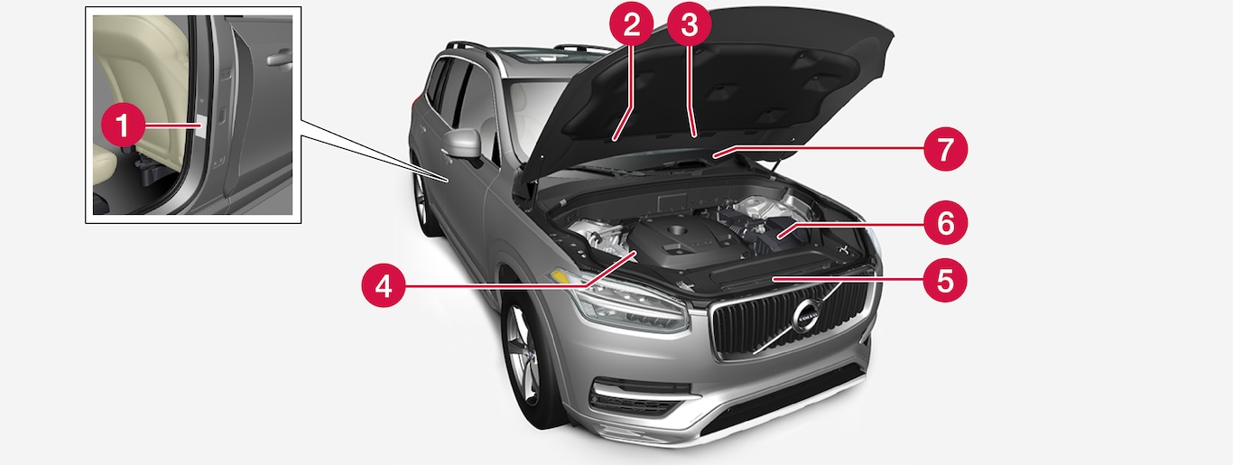 P5-1846-XC90-Type approval, labels, not China, Russia and Saudi Arabia